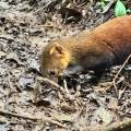 small_img_4285.jpg