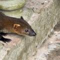 small_img_4287.jpg