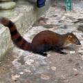 small_img_4288.jpg