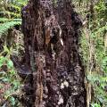 small_img_4295.jpg