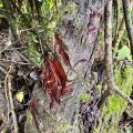 small_img_4304.jpg