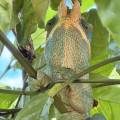 small_img_4328.jpg