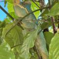 small_img_4330.jpg