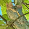 small_img_4331.jpg
