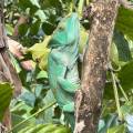 small_img_4332.jpg