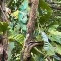 small_img_4333.jpg