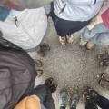 small_img_4370.jpg