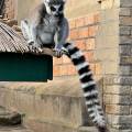 small_img_4472.jpg