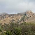 small_img_4529.jpg