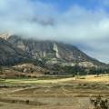 small_img_4531.jpg