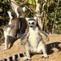 small_img_4535.jpg
