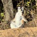 small_img_4536.jpg