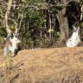small_img_4537.jpg