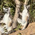 small_img_4538.jpg