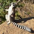 small_img_4543.jpg
