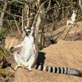 small_img_4544.jpg