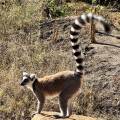 small_img_4557.jpg