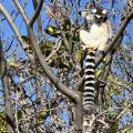 small_img_4560.jpg
