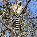 small_img_4564.jpg