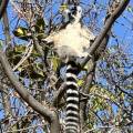 small_img_4566.jpg