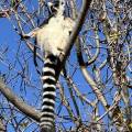 small_img_4570.jpg