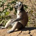 small_img_4575.jpg