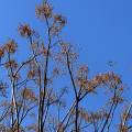 small_img_4577.jpg