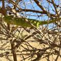 small_img_4581.jpg