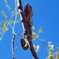 small_img_4597.jpg
