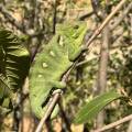 small_img_4600.jpg