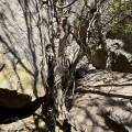 small_img_4638.jpg