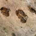 small_img_4644.jpg