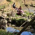 small_img_4645.jpg