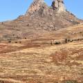 small_img_4653.jpg