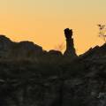 small_img_4762.jpg