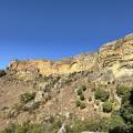 small_img_4767.jpg