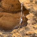 small_img_4775.jpg