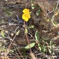small_img_4787.jpg
