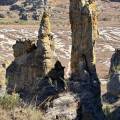 small_img_4810.jpg