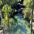 small_img_4815.jpg