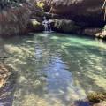 small_img_4818.jpg