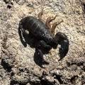 small_img_4829.jpg