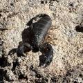 small_img_4832.jpg
