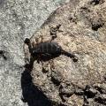 small_img_4836.jpg
