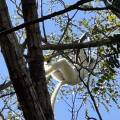 small_img_4867.jpg