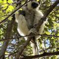 small_img_4870.jpg