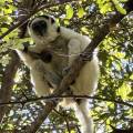 small_img_4872-1.jpg