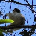 small_img_4874.jpg