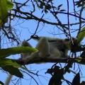 small_img_4877.jpg