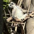 small_img_4880.jpg